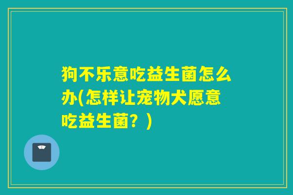 狗不乐意吃益生菌怎么办(怎样让宠物犬愿意吃益生菌?) 狗不乐意吃益生菌怎么办(怎样让宠物犬愿意吃益生菌?)