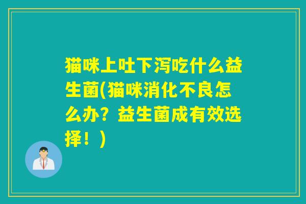 猫咪上吐下泻吃什么益生菌(猫咪怎么办?益生菌成有效选择!) 猫咪上吐下泻吃什么益生菌(猫咪怎么办?益生菌成有效选择!)