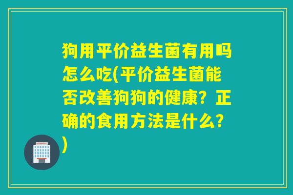 狗用平价益生菌有用吗怎么吃(平价益生菌能否改善狗狗的健康？正确的食用方法是什么？)