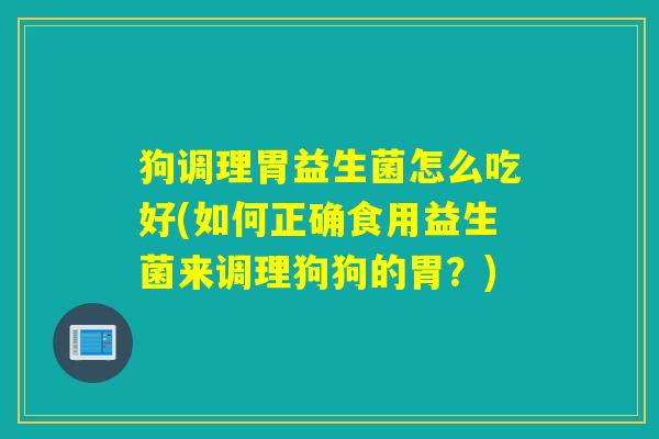 狗调理胃益生菌怎么吃好(如何正确食用益生菌来调理狗狗的胃？)