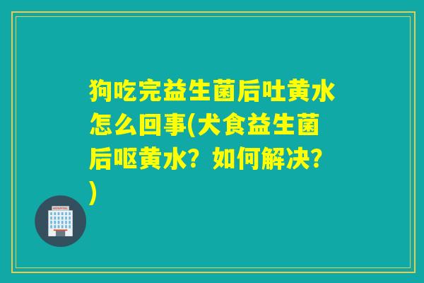 狗吃完益生菌后吐黄水怎么回事(犬食益生菌后呕黄水？如何解决？)