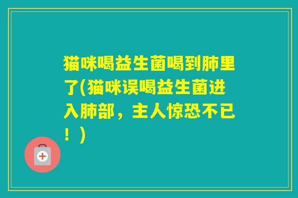 猫咪喝益生菌喝到里了(猫咪误喝益生菌进入部,主人惊恐不已!) 猫咪喝益生菌喝到里了(猫咪误喝益生菌进入部,主人惊恐不已!)