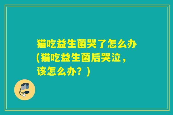 猫吃益生菌哭了怎么办(猫吃益生菌后哭泣，该怎么办？)