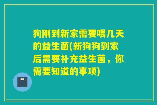狗刚到新家需要喂几天的益生菌(新狗狗到家后需要补充益生菌,你需要知道的事项) 狗刚到新家需要喂几天的益生菌(新狗狗到家后需要补充益生菌,你需要知道的事项)