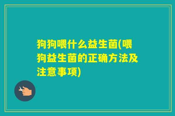 狗狗喂什么益生菌(喂狗益生菌的正确方法及注意事项) 狗狗喂什么益生菌(喂狗益生菌的正确方法及注意事项)