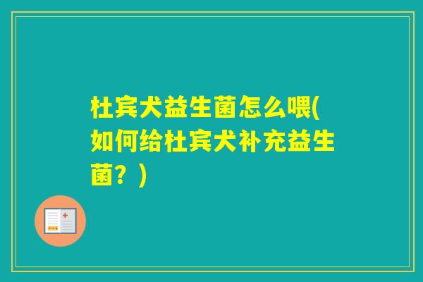 杜宾犬益生菌怎么喂(如何给杜宾犬补充益生菌?) 杜宾犬益生菌怎么喂(如何给杜宾犬补充益生菌?)