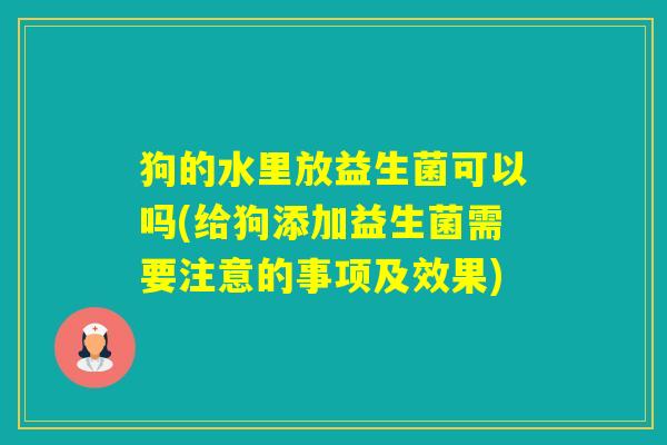 狗的水里放益生菌可以吗(给狗添加益生菌需要注意的事项及效果)