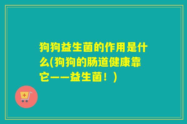 狗狗益生菌的作用是什么(狗狗的肠道健康靠它——益生菌!) 狗狗益生菌的作用是什么(狗狗的肠道健康靠它——益生菌!)