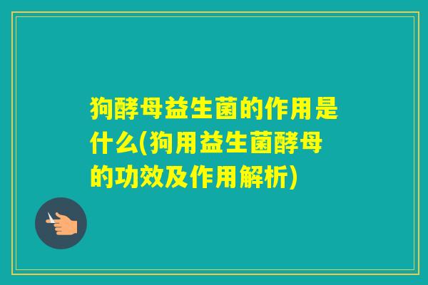 狗酵母益生菌的作用是什么(狗用益生菌酵母的功效及作用解析)