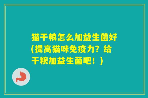 猫干粮怎么加益生菌好(提高猫咪力？给干粮加益生菌吧！)