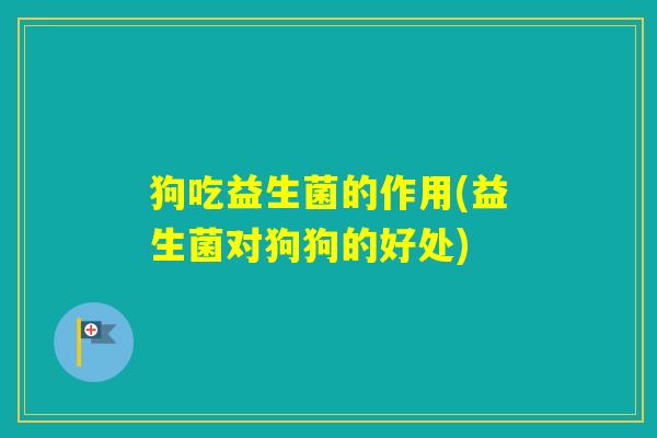 狗吃益生菌的作用(益生菌对狗狗的好处) 狗吃益生菌的作用(益生菌对狗狗的好处)