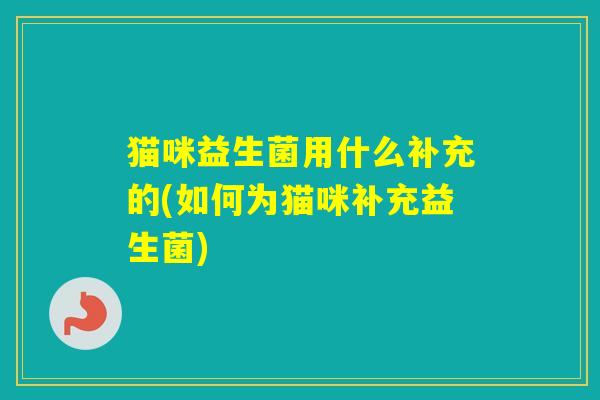 猫咪益生菌用什么补充的(如何为猫咪补充益生菌)
