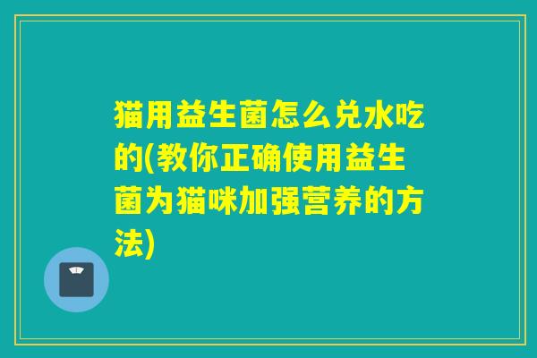 猫用益生菌怎么兑水吃的(教你正确使用益生菌为猫咪加强营养的方法)