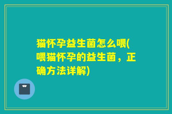 猫怀孕益生菌怎么喂(喂猫怀孕的益生菌，正确方法详解)