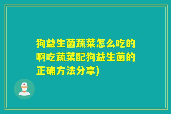 狗益生菌蔬菜怎么吃的啊吃蔬菜配狗益生菌的正确方法分享)