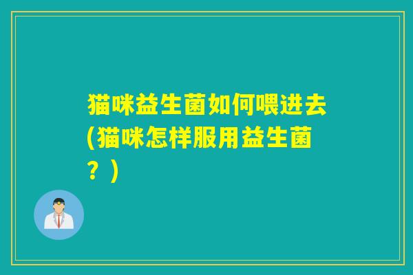 猫咪益生菌如何喂进去(猫咪怎样服用益生菌？)