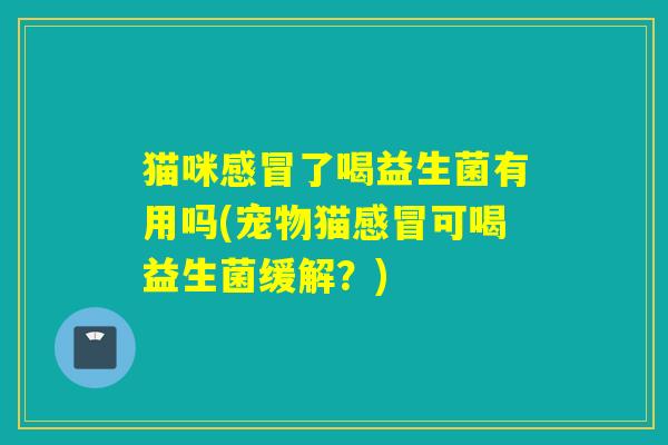 猫咪了喝益生菌有用吗(宠物猫可喝益生菌缓解？)