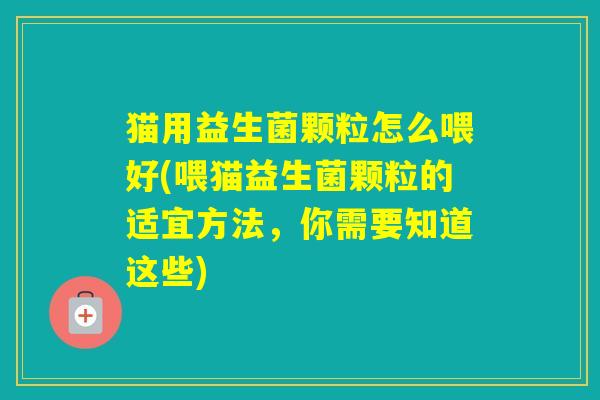 猫用益生菌颗粒怎么喂好(喂猫益生菌颗粒的适宜方法，你需要知道这些)