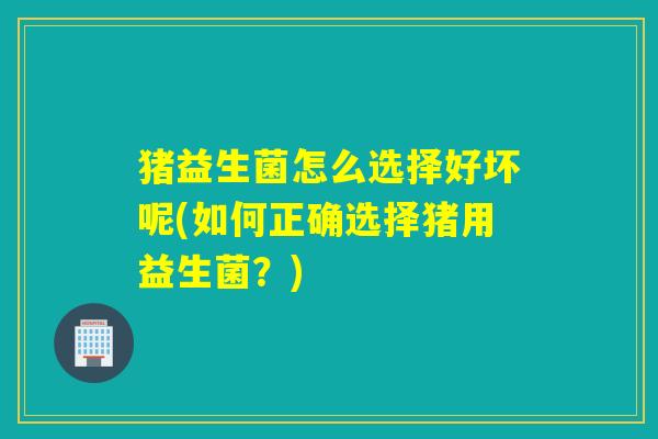 猪益生菌怎么选择好坏呢(如何正确选择猪用益生菌？)