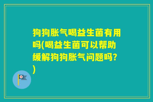 狗狗喝益生菌有用吗(喝益生菌可以帮助缓解狗狗问题吗？)