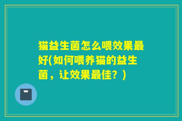 猫益生菌怎么喂效果好(如何喂养猫的益生菌，让效果佳？)