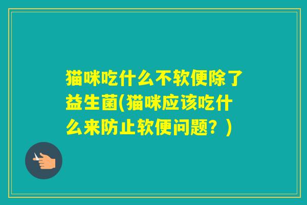 猫咪吃什么不软便除了益生菌(猫咪应该吃什么来防止软便问题？)