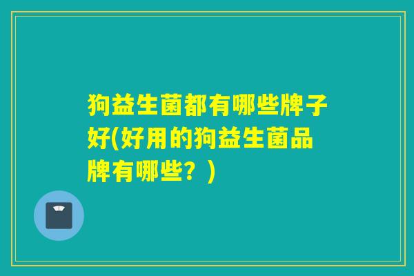狗益生菌都有哪些牌子好(好用的狗益生菌品牌有哪些？)
