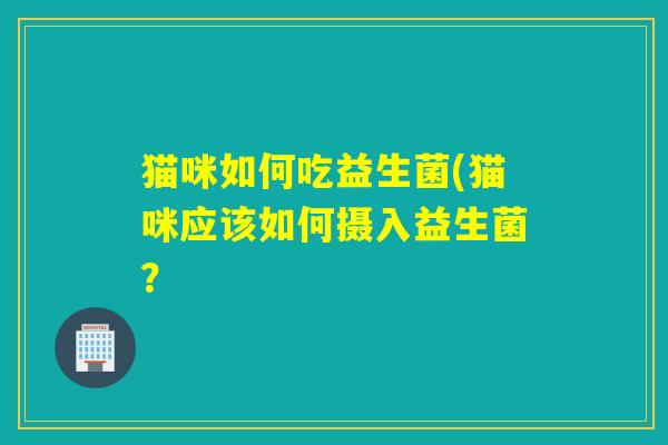 猫咪如何吃益生菌(猫咪应该如何摄入益生菌？