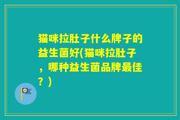 猫咪拉肚子什么牌子的益生菌好(猫咪拉肚子，哪种益生菌品牌佳？)