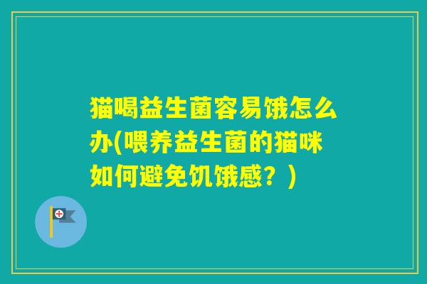 猫喝益生菌容易饿怎么办(喂养益生菌的猫咪如何避免饥饿感？)