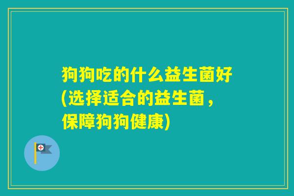 狗狗吃的什么益生菌好(选择适合的益生菌，保障狗狗健康)