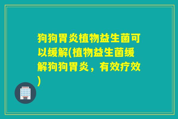 狗狗植物益生菌可以缓解(植物益生菌缓解狗狗，有效疗效)