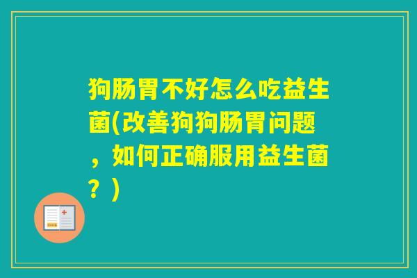 狗肠胃不好怎么吃益生菌(改善狗狗肠胃问题，如何正确服用益生菌？)