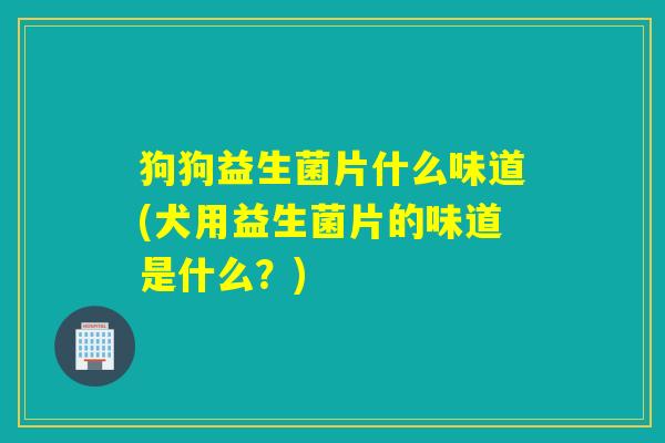 狗狗益生菌片什么味道(犬用益生菌片的味道是什么？)