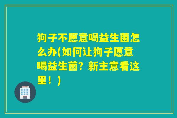狗子不愿意喝益生菌怎么办(如何让狗子愿意喝益生菌?新主意看这里!) 狗子不愿意喝益生菌怎么办(如何让狗子愿意喝益生菌?新主意看这里!)