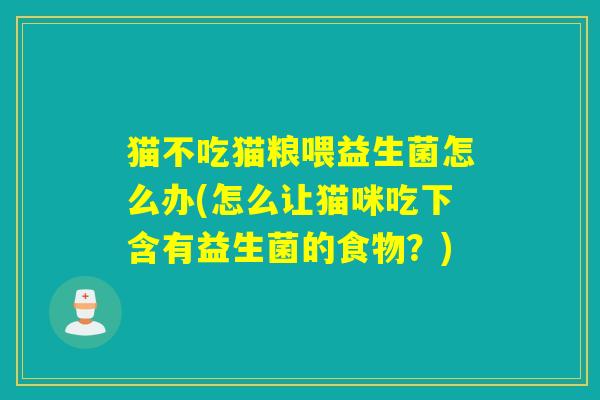 猫不吃猫粮喂益生菌怎么办(怎么让猫咪吃下含有益生菌的食物？)