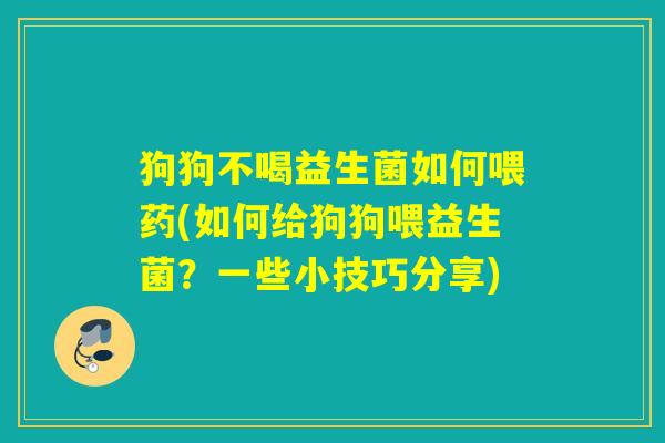 狗狗不喝益生菌如何喂药(如何给狗狗喂益生菌？一些小技巧分享)