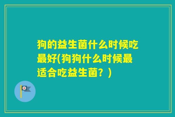 狗的益生菌什么时候吃好(狗狗什么时候适合吃益生菌？)