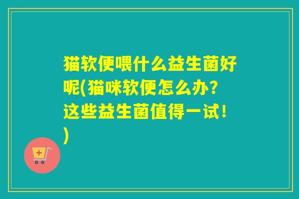 猫软便喂什么益生菌好呢(猫咪软便怎么办？这些益生菌值得一试！)
