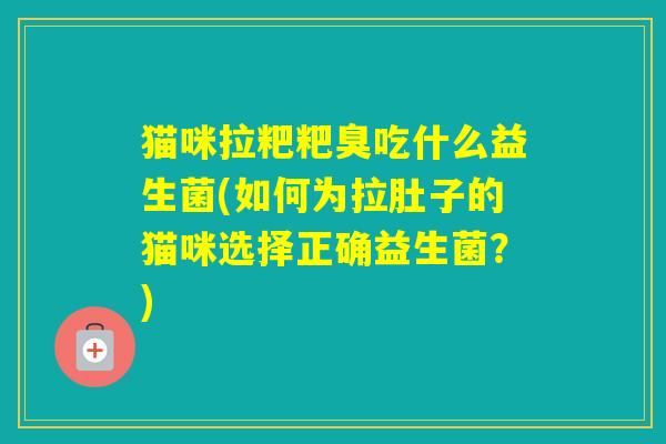 猫咪拉粑粑臭吃什么益生菌(如何为拉肚子的猫咪选择正确益生菌？)