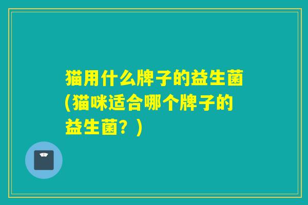 猫用什么牌子的益生菌(猫咪适合哪个牌子的益生菌？)