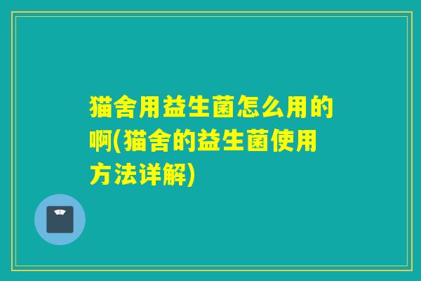 猫舍用益生菌怎么用的啊(猫舍的益生菌使用方法详解) 猫舍用益生菌怎么用的啊(猫舍的益生菌使用方法详解)