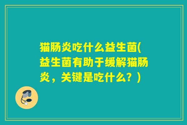 猫吃什么益生菌(益生菌有助于缓解猫,关键是吃什么?) 猫吃什么益生菌(益生菌有助于缓解猫,关键是吃什么?)