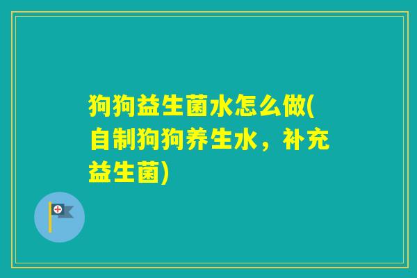 狗狗益生菌水怎么做(自制狗狗养生水，补充益生菌)