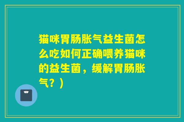 猫咪益生菌怎么吃如何正确喂养猫咪的益生菌，缓解？)