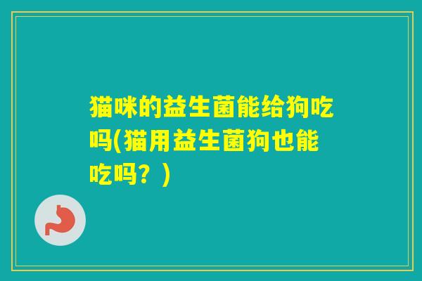 猫咪的益生菌能给狗吃吗(猫用益生菌狗也能吃吗？)