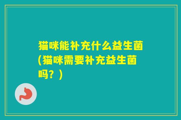 猫咪能补充什么益生菌(猫咪需要补充益生菌吗？)