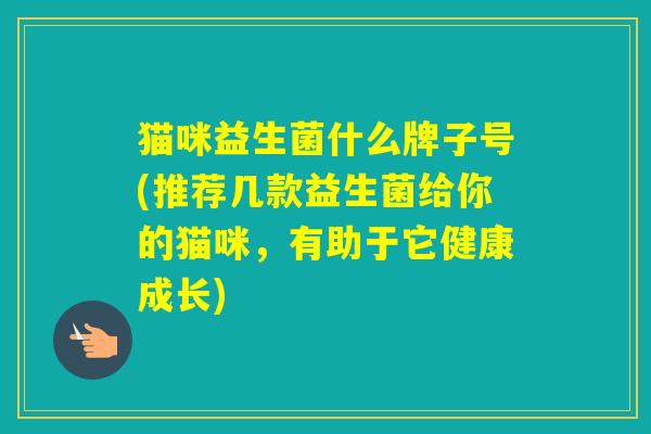 猫咪益生菌什么牌子号(推荐几款益生菌给你的猫咪，有助于它健康成长)