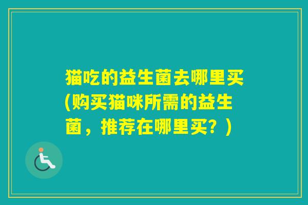 猫吃的益生菌去哪里买(购买猫咪所需的益生菌，推荐在哪里买？)