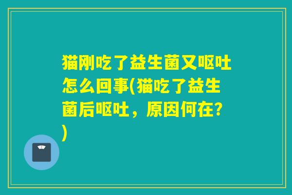 猫刚吃了益生菌又怎么回事(猫吃了益生菌后，原因何在？)
